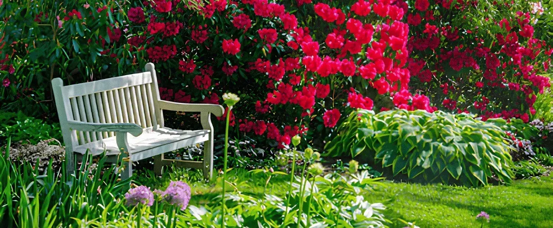 Creating a Low-Maintenance Landscape: Best Plants & Design Strategies