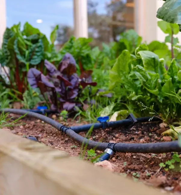 drip irrigation landscape beds stratford ct