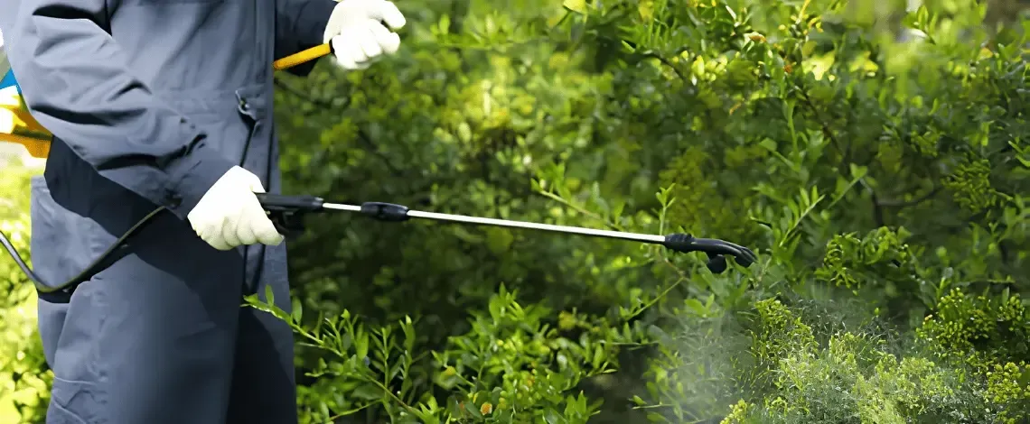 Don’t Let Drought and Winter Weather Damage Your Landscape: Watering, Winter Protection, and Fall Care Tips
