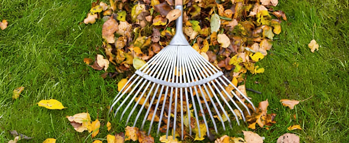 Fall Pruning vs. Fall Cutbacks: What&rsquo;s the Difference and Why They Matter