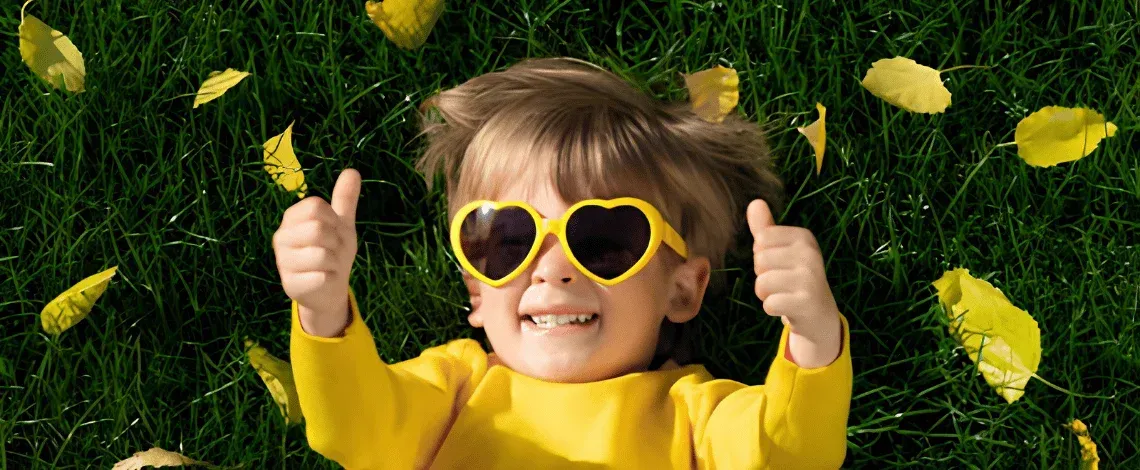 Fall Lawn Renovation in Connecticut: Is Your Lawn Ready for a Transformation?