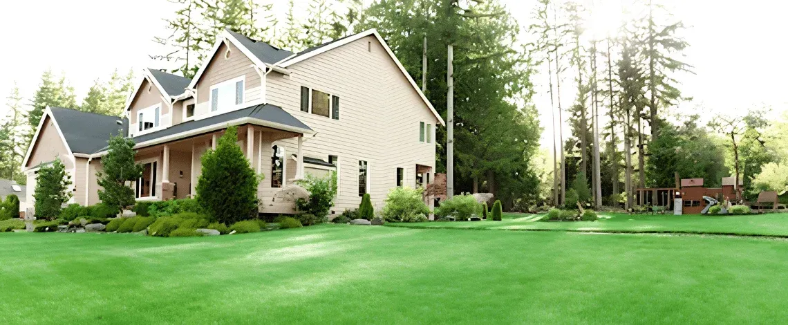 Lawn Care in Shelton, CT: A Month-by-Month Plan for a Thick, Weed-Free Lawn