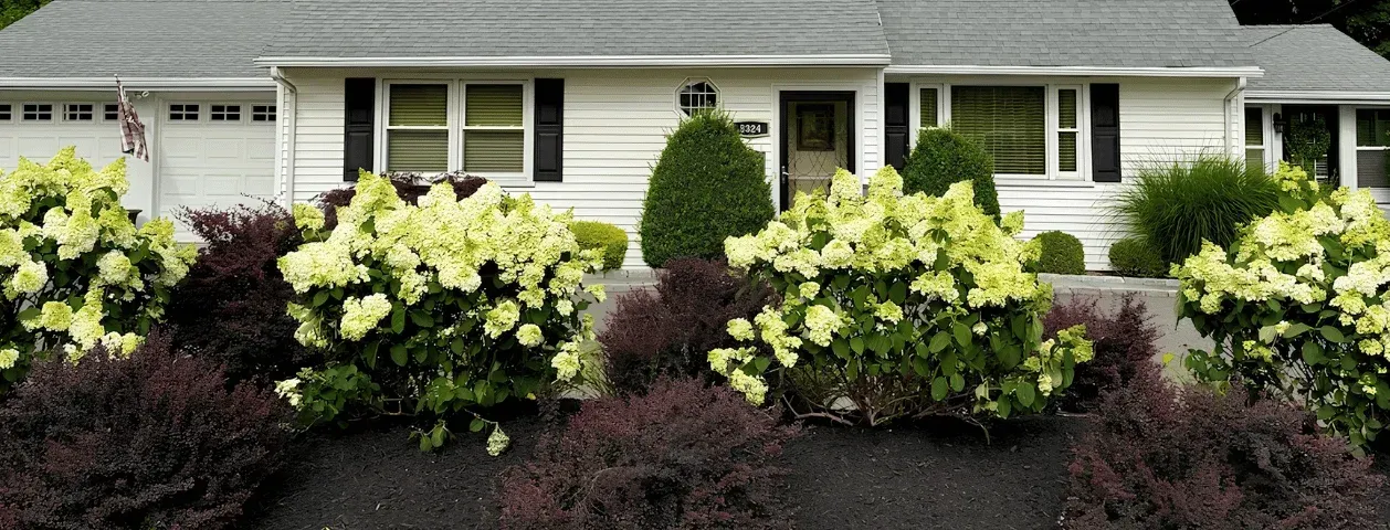 Front Yard Landscape Planting & Mulch Installation in Trumbull, CT
