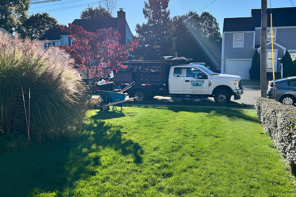 Full Lawn Renovation- Landscaping Services Transform Property in Stratford, CT