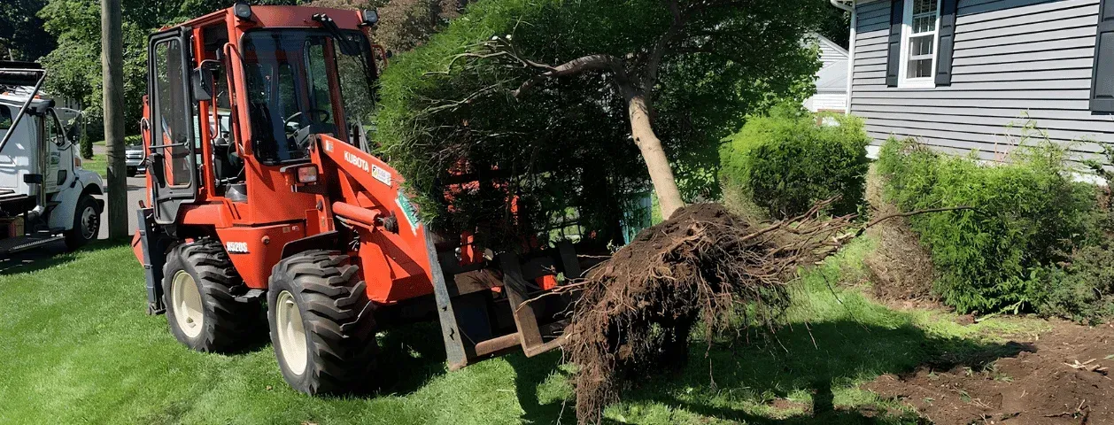 Landscape Design & Installation Plus Irrigation & Overseeding in Stratford, CT