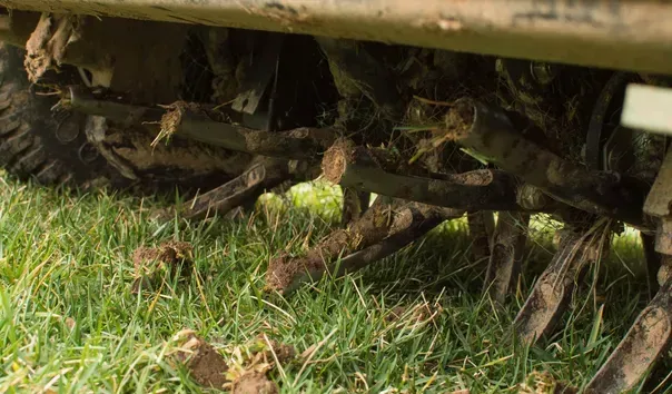 lawn aeration service thin grass stratford ct