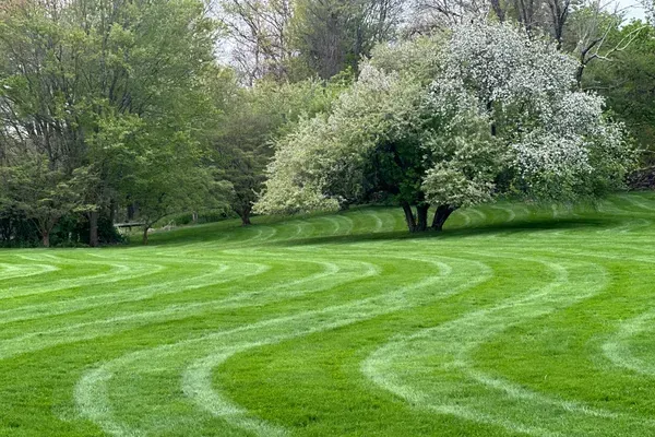 lawn care seymour ct