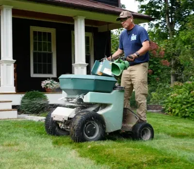 Professional lawn fertilization services in Stratford, CT, promoting healthy grass growth and a lush, green lawn.