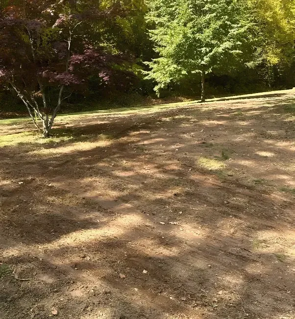 lawn resloping drainage grading stratford ct