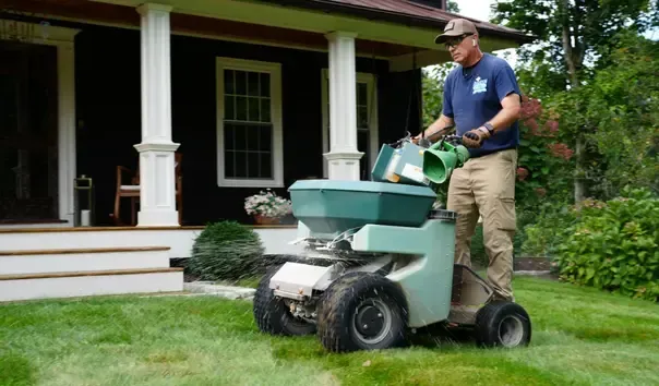 lawn weed control in stratford ct