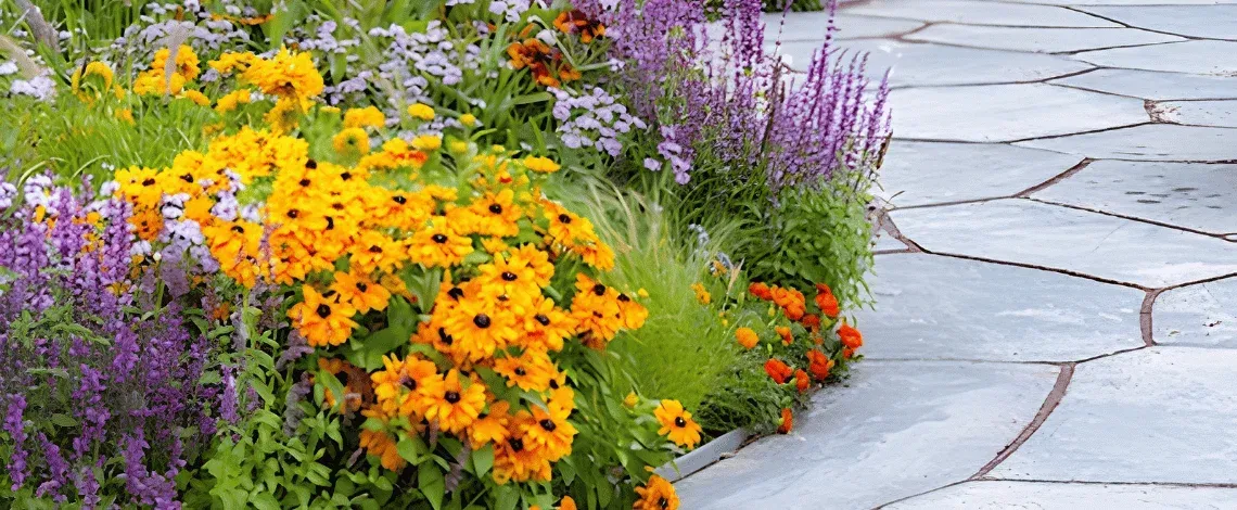 Keep Your Landscape Thriving with Our Plant Health Care Program in Stratford, CT
