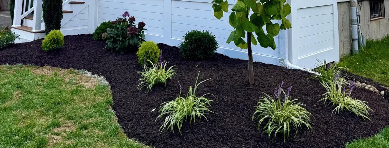 A Fresh New Look for Stratford Landscape: 2025 Planting Design & Installation Project