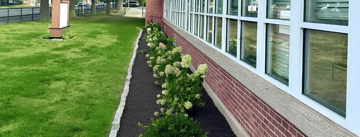 Planting Design & Installation at Nichols Elementary School in Stratford, CT