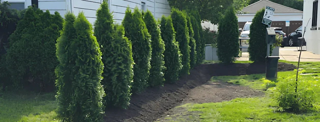 Privacy Screen & Planting Bed Installation in Stratford, CT
