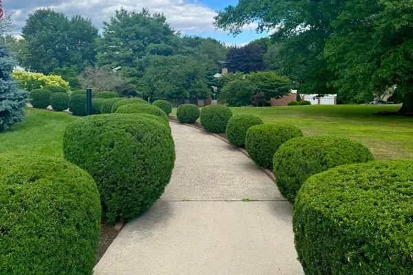 professional landscaping benefits oxford ct