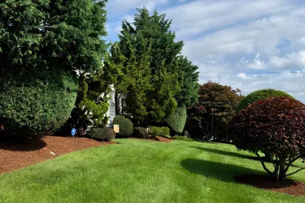 Pruning, Weeding & Mulch Installation in Stratford, CT