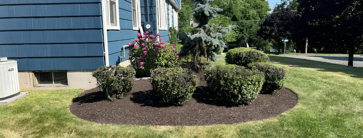 Weed, Edge, and Mulch: Residential Property Maintenance in Trumbull, CT