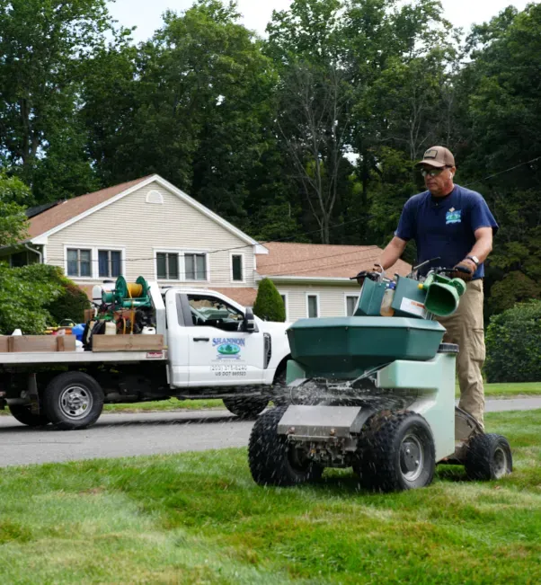 root damaging grubs lawn stratford ct