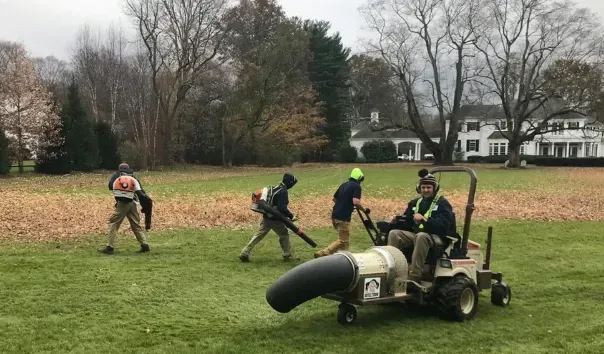 spring fall yard cleanup stratford ct