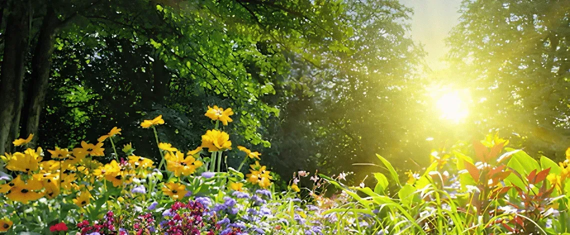 Survive the Sizzle: Summer Landscaping Secrets You Need