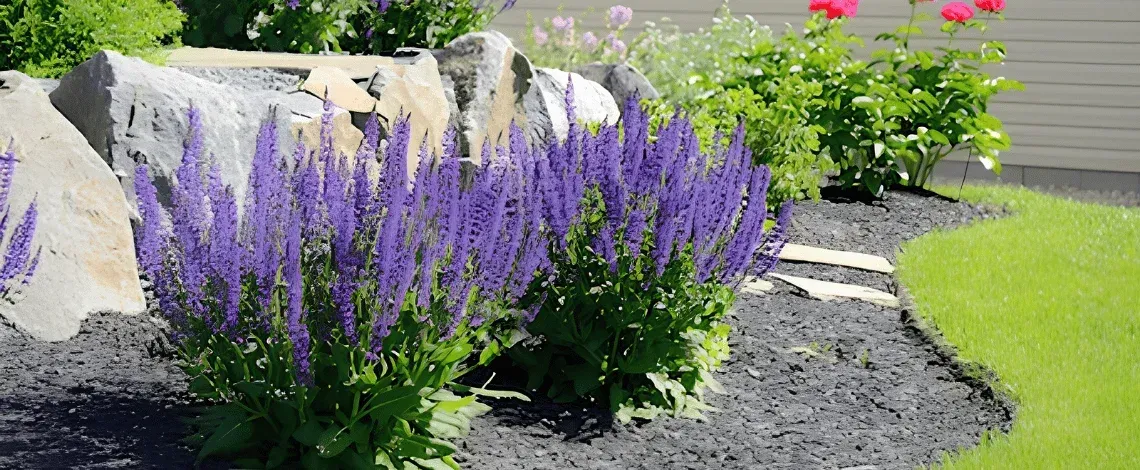 The Three-Step Secret to a Healthier, More Beautiful Landscape