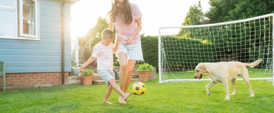 Tick Control Planning in Connecticut: What Homeowners Should Know Before Spring