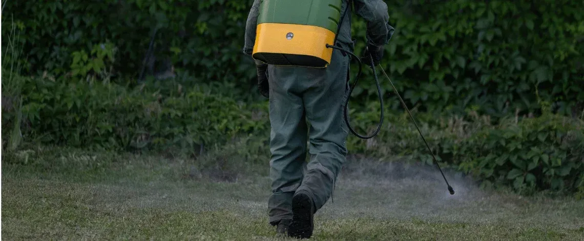 Tick Control in Stratford & Lordship, CT: What to Do After a High-Tick Year