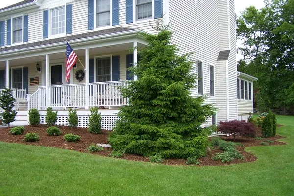 tree and shrub care in stratford ct