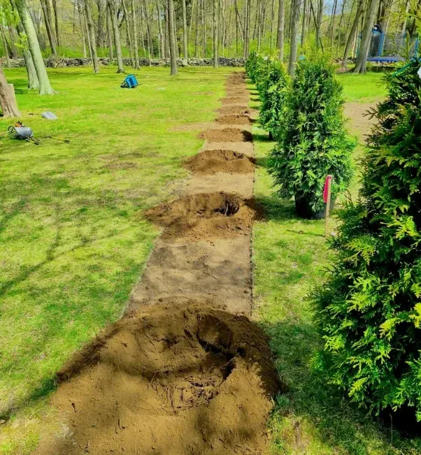 tree selection stratford ct