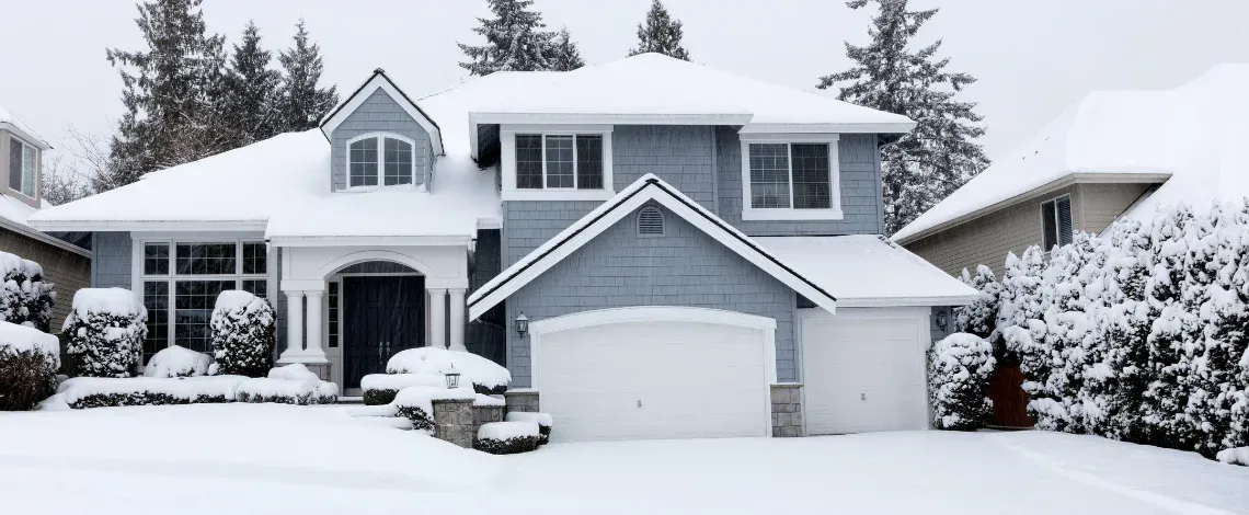 What to Plan for Your Landscape in January: A Connecticut Homeowner's Guide