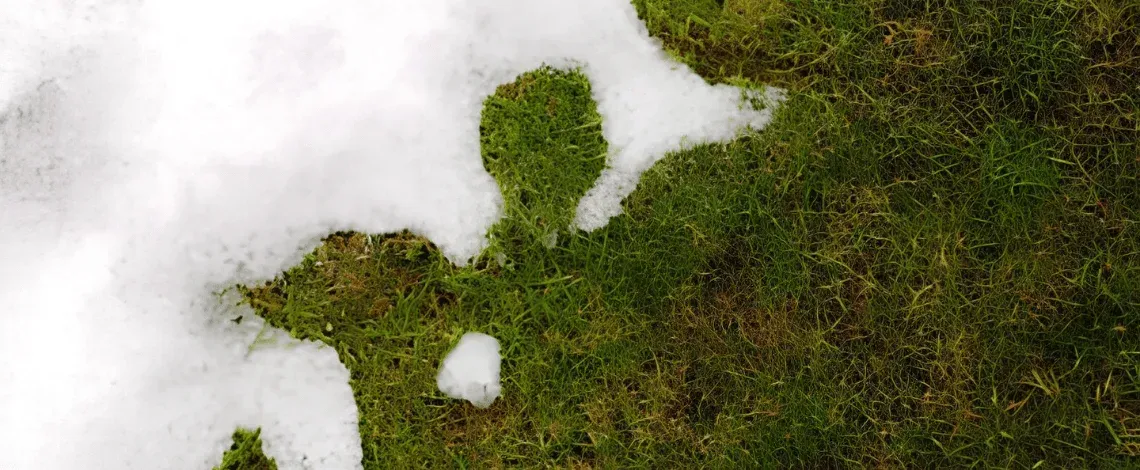 When Should Milford Homeowners Start Planning Spring Lawn Care?