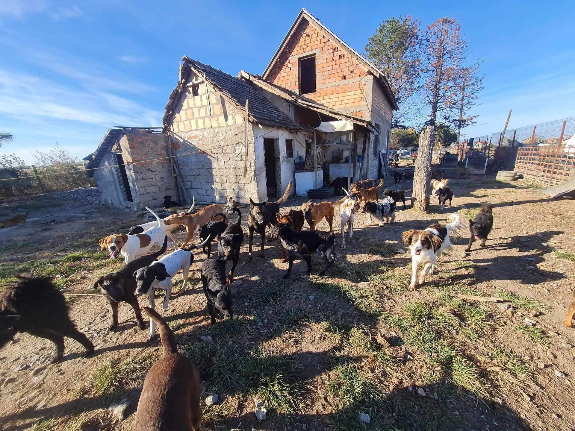 Links neben dem Haus müssen 45m Zaun erneuert werden, hinter dem Haus sind es 20m.