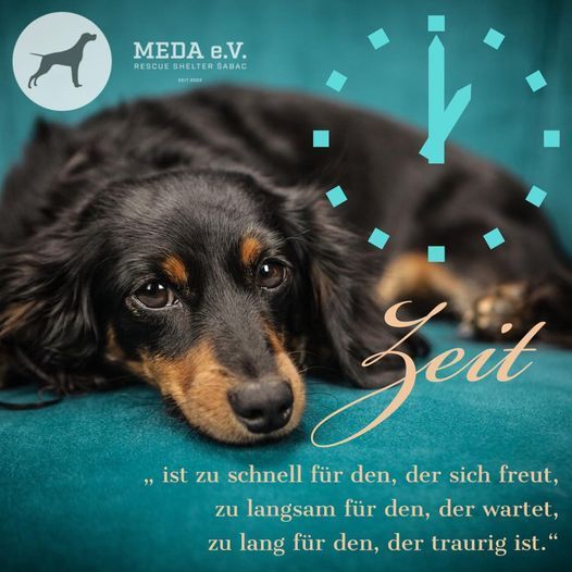 Zeit-wichtige-Vorbereitung-für-Adoption