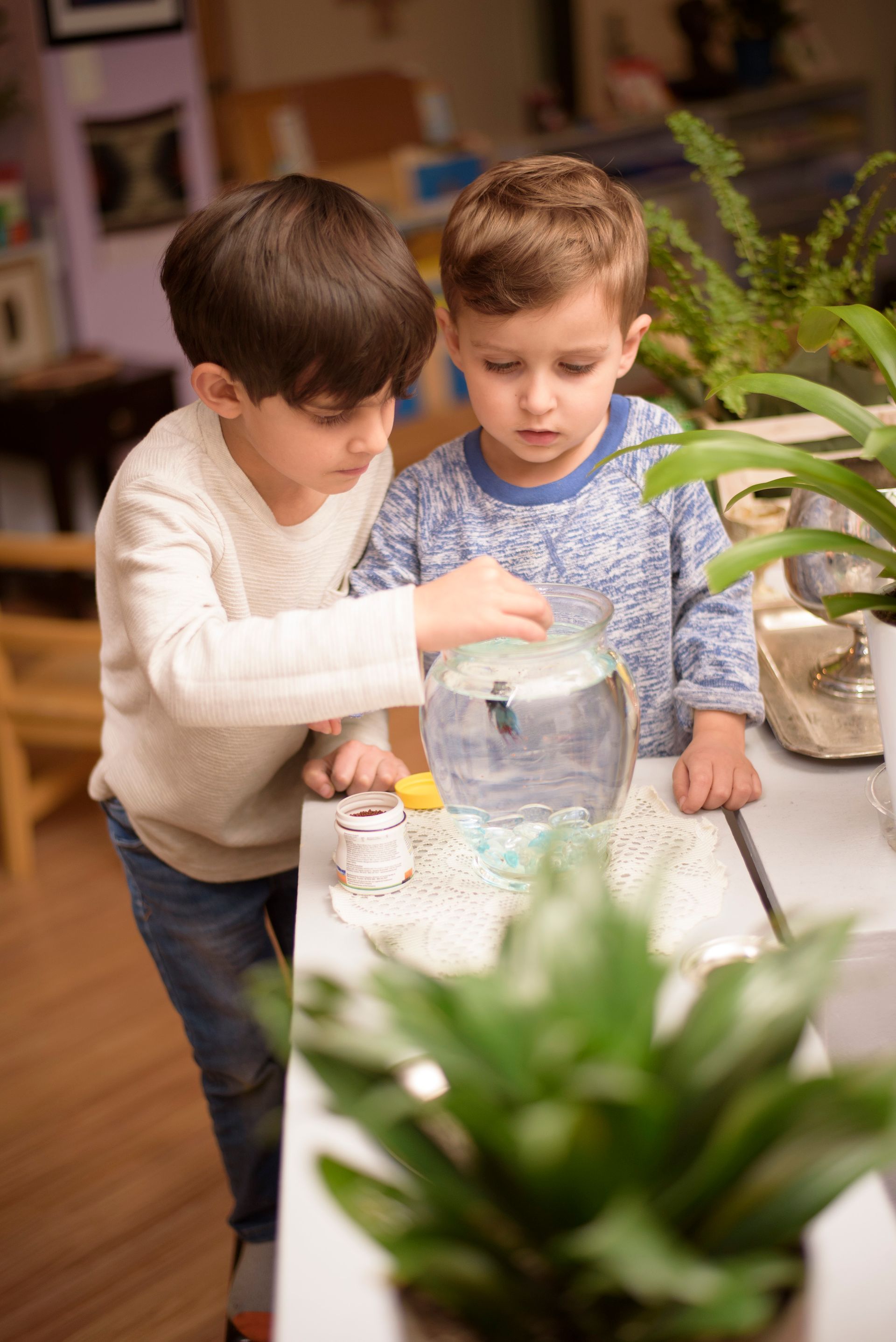Two children observing a fishbowl on a table indoors, with plants in the foreground.
