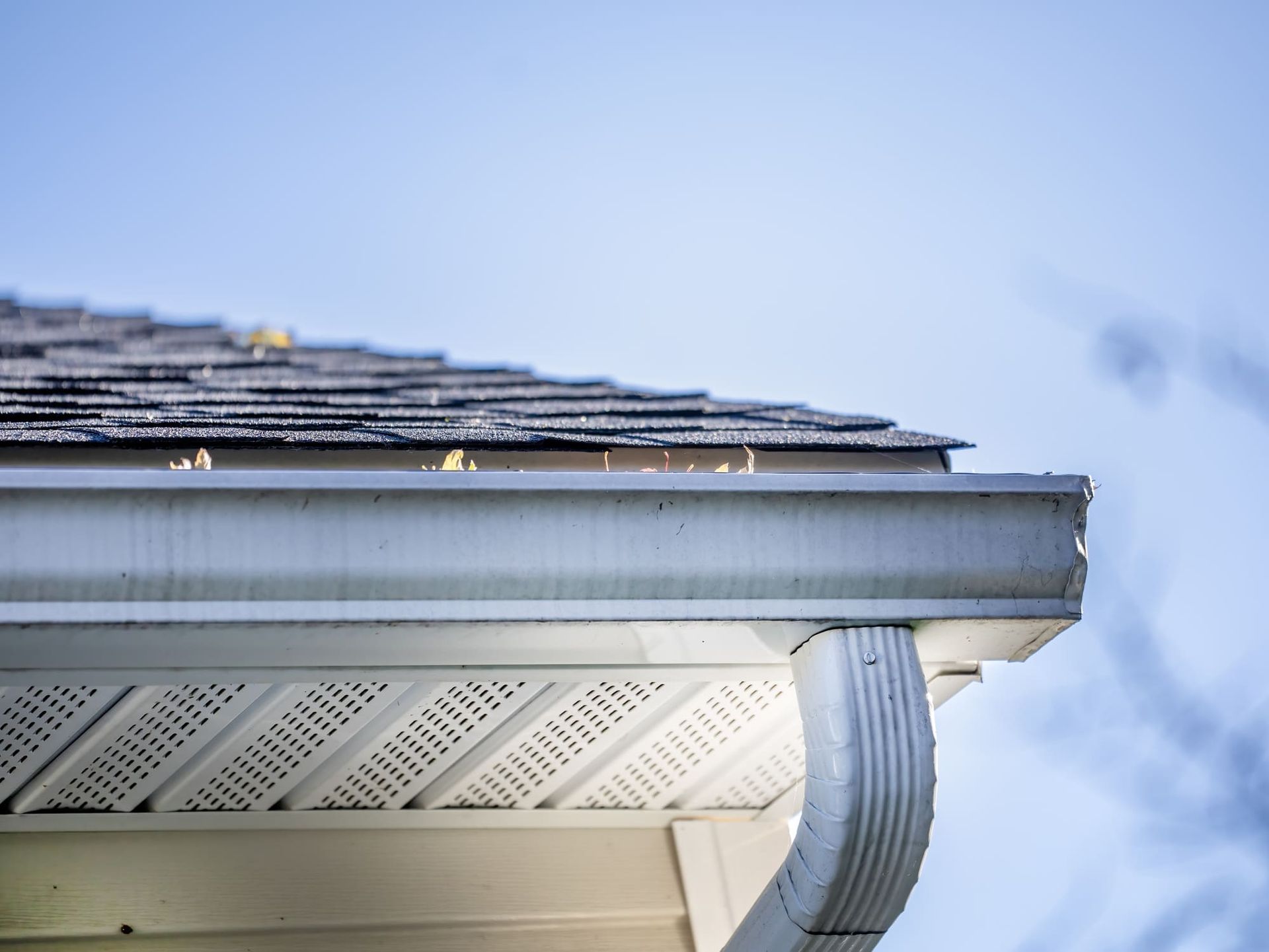 White gutter and roof edge against a blue sky.