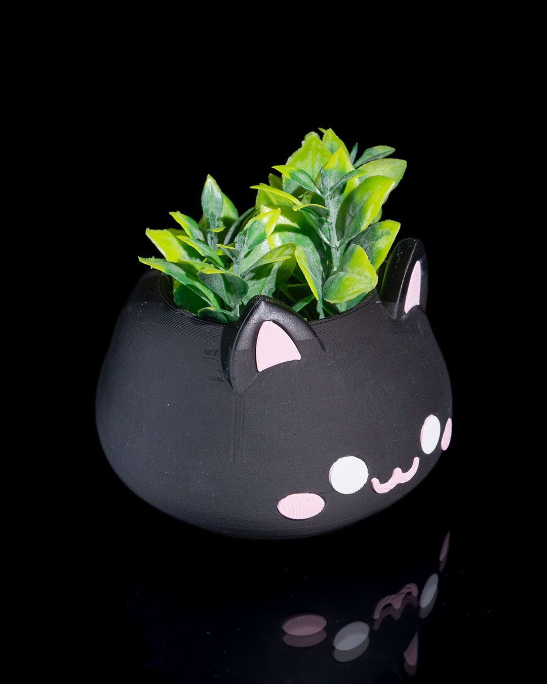 Cute Cat Planter | Kitten Planter | Plants