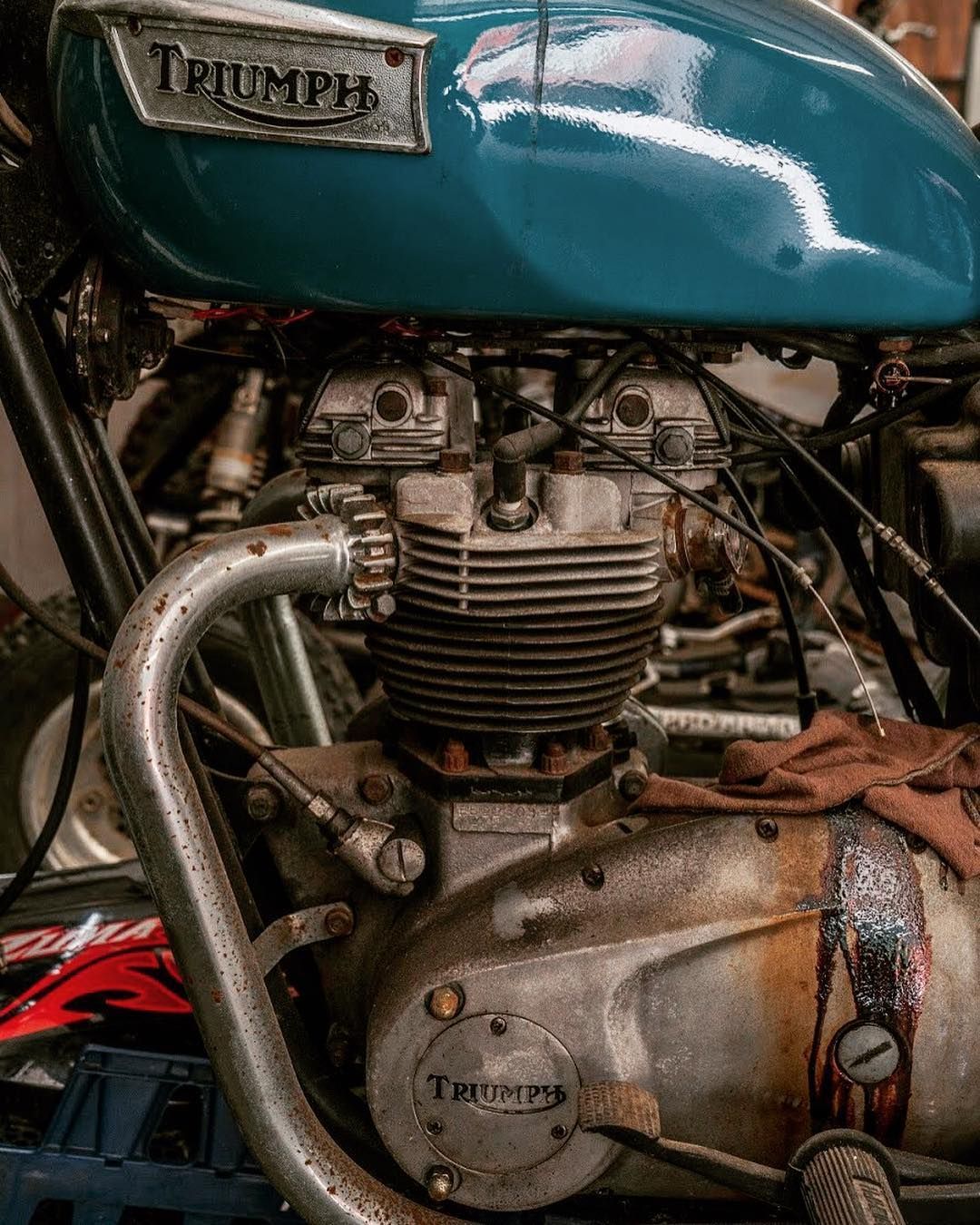 A close up of a triumph motorcycle engine in a garage.