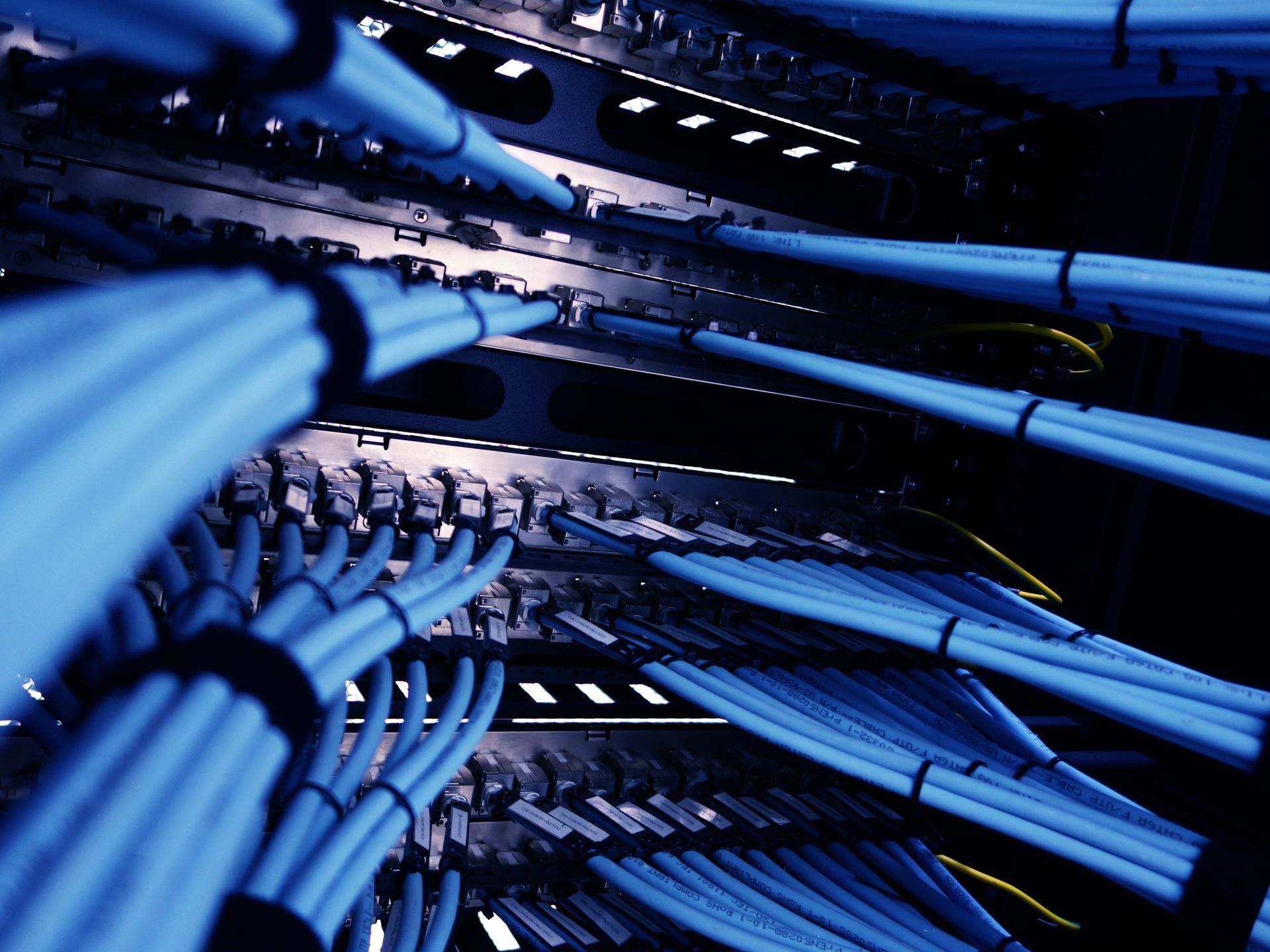 Blue Network Cables Connected to a Server Switch — Anthony Cameron Electrical & Solar In Childers, QLD