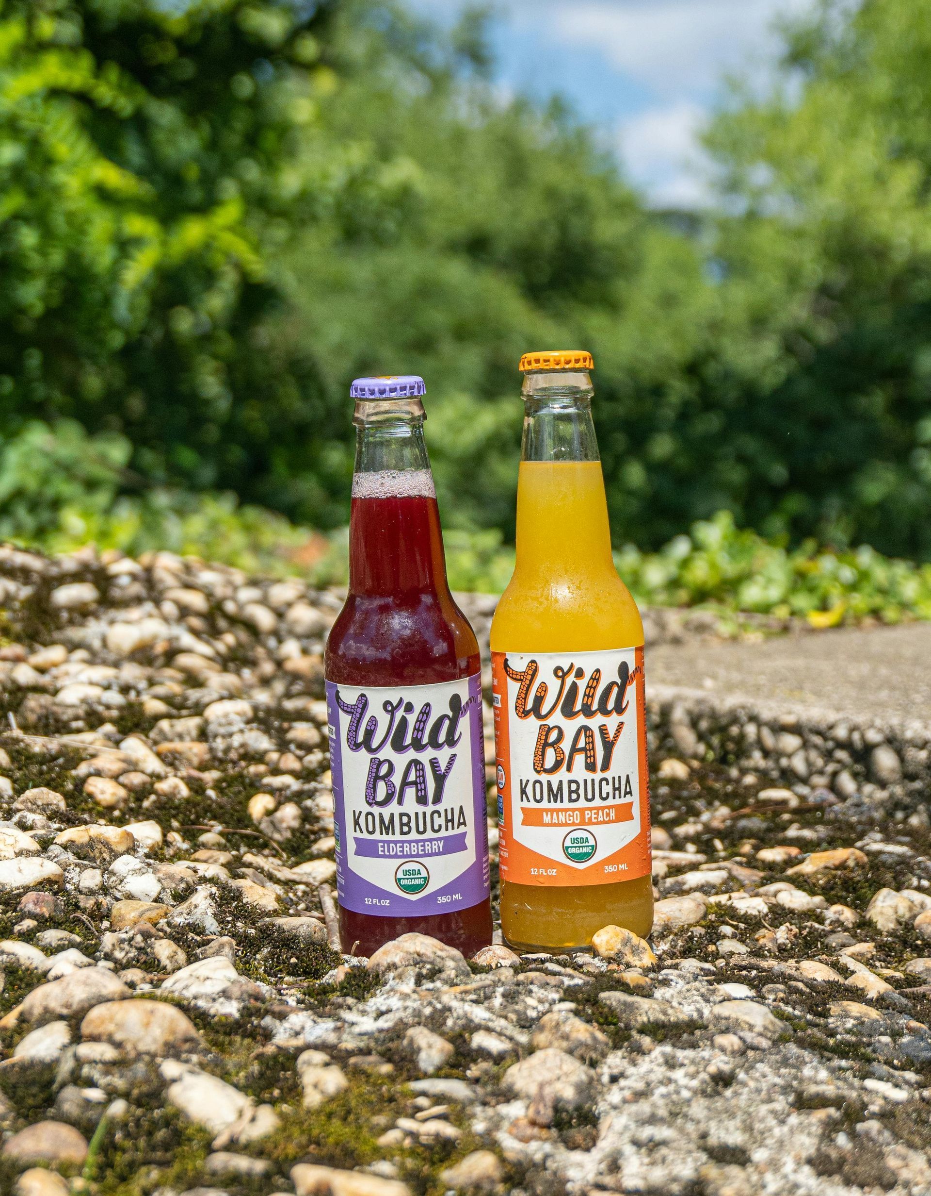 Two bottles of soda are sitting on a rocky surface. Two bottles of soda are sitting on a rocky surface.