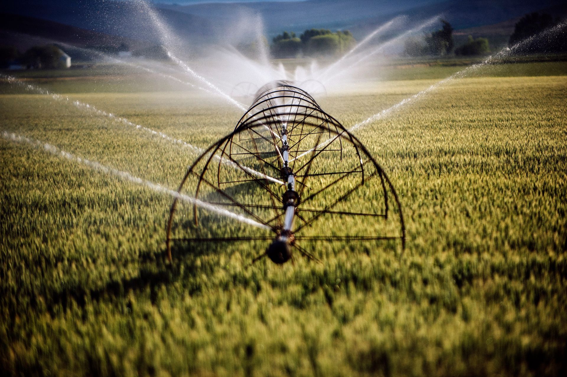 Irrigation - Lehigh Acres, FL - Mainor Landscaping Service LLC