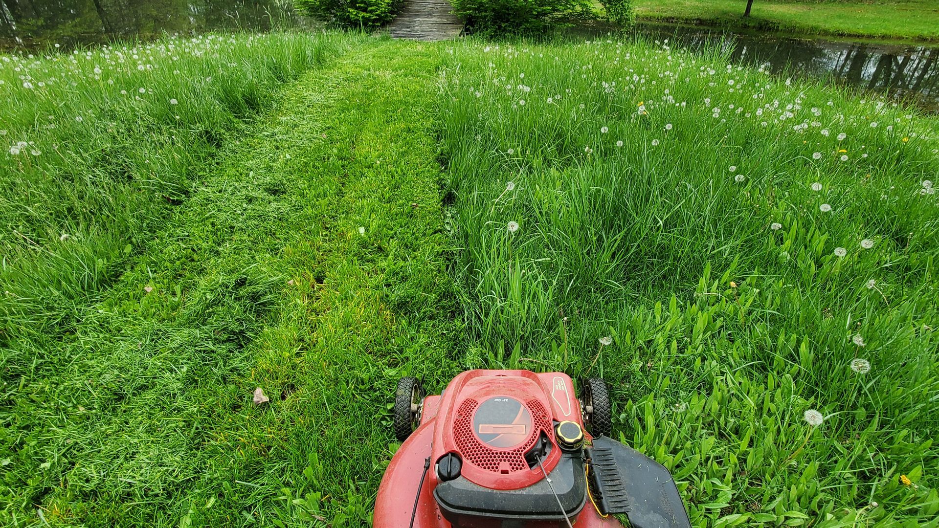 Lawn Mowing - Lehigh Acres, FL - Mainor Landscaping Service LLC