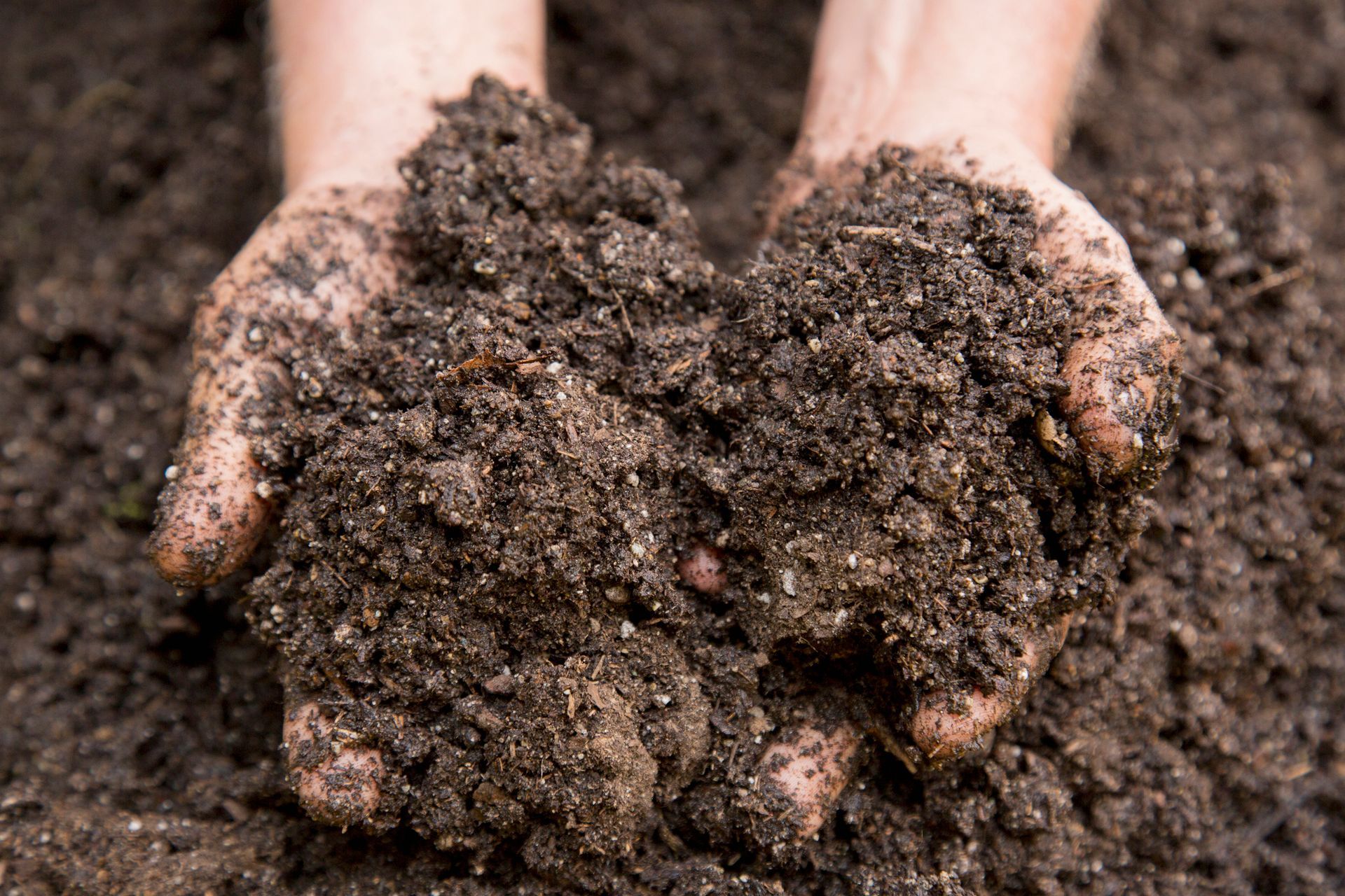 Soil Treatment - Lehigh Acres, FL - Mainor Landscaping Service LLC