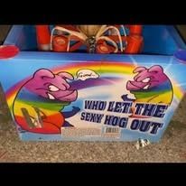 Colorful sign on a wagon reads “WHO LET THE SENY HOG OUT” with two cartoon pigs and a rainbow.