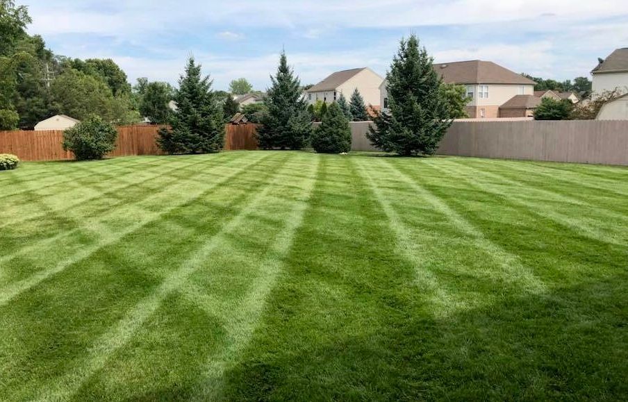 Perfect mowing stripes in a residential lawn by CD’s Lawn Care, Central Iowa