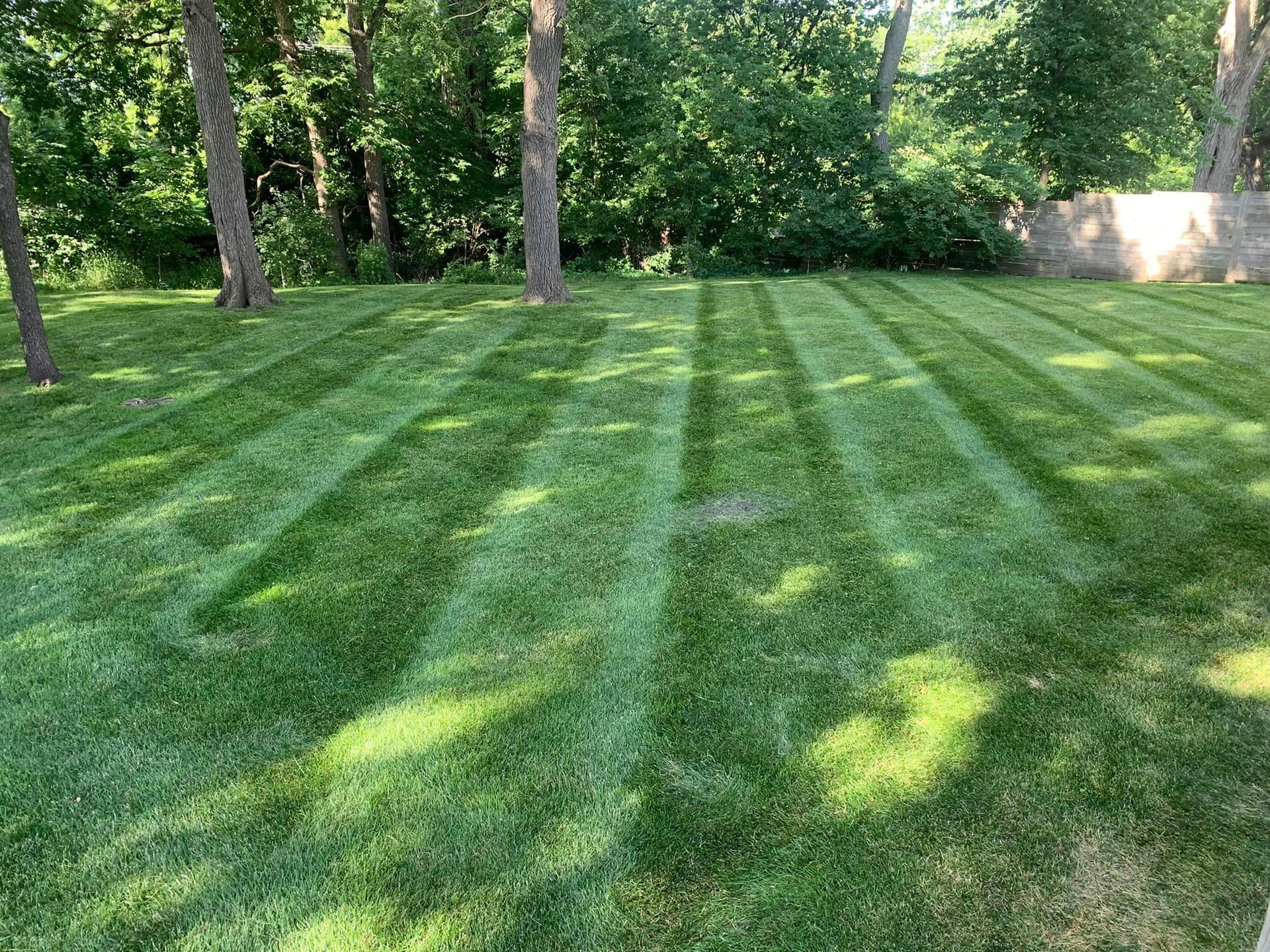 Perfect mowing stripes in a residential lawn by CD’s Lawn Care, Central Iowa