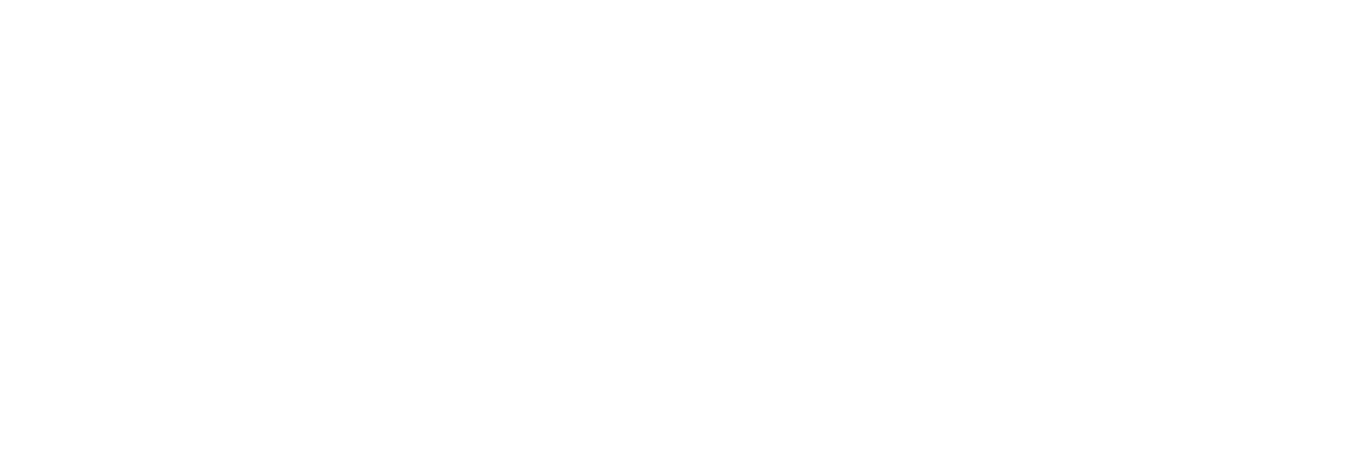 TDS Photography logo