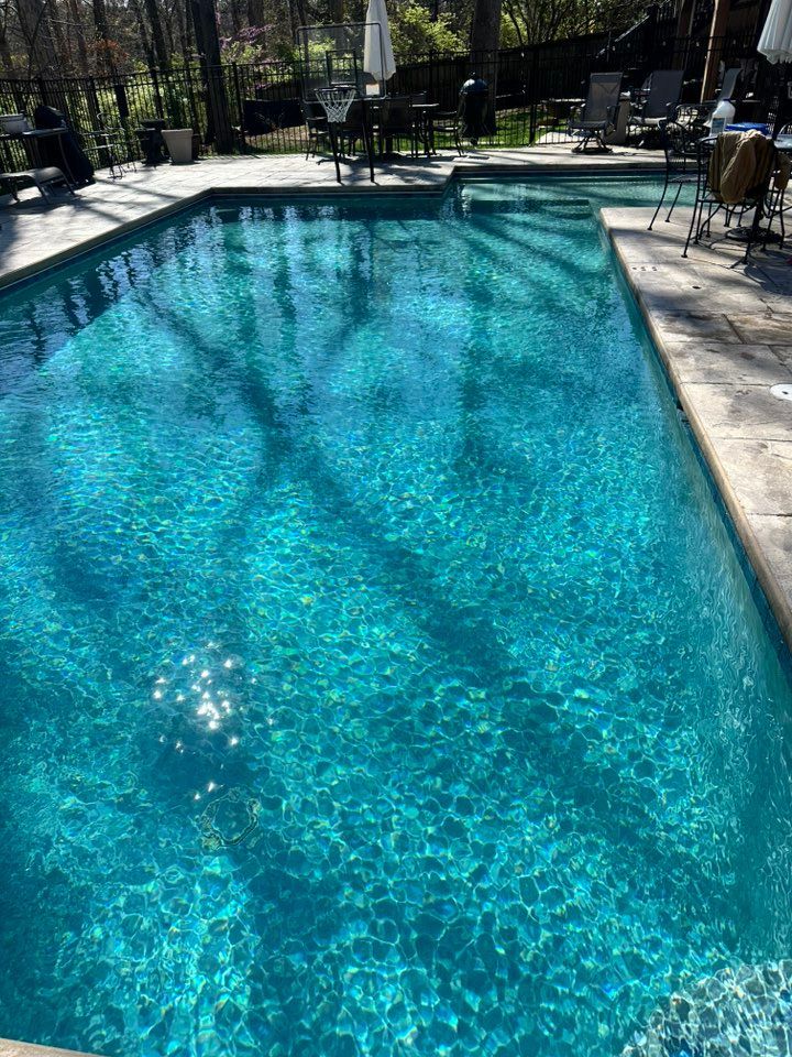 A large swimming pool surrounded by chairs and umbrellas in a backyard.