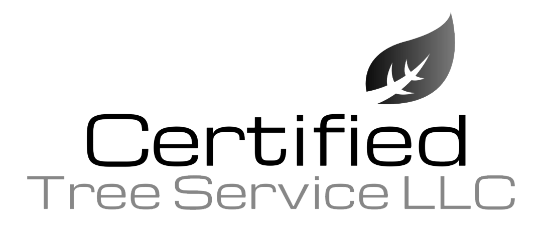 Priority Clean | Cleaning Services