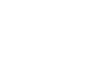 Palumbo Salvatore - LOGO