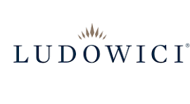 Ludowici logo with stylized crown above dark blue wordmark.